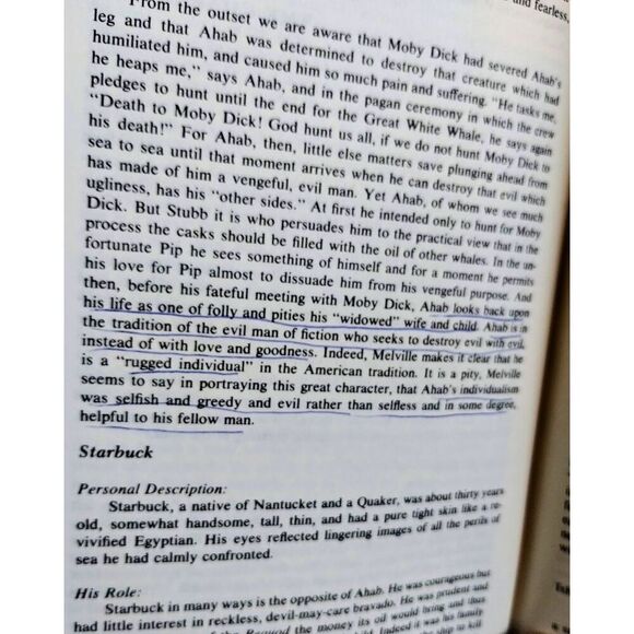 Cliff Notes (Wuthering Heights, Moby Dick, Huckleberry Finn) - Picture 5 of 5